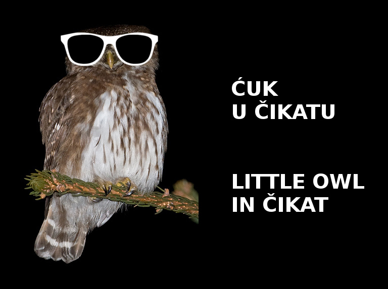 Akcija kodnog imena ĆUK U ČIKATU (1)